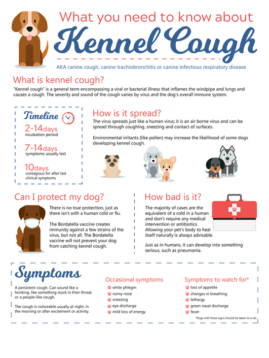 how long does a dog cough with kennel cough